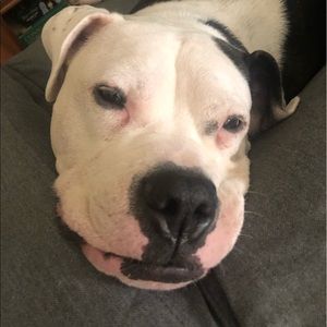 Meet your Posher, Nat